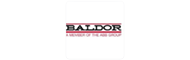baldor electric